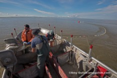 Commercial Fishing — Set Net Bristol Bay Alaska U.S.A.